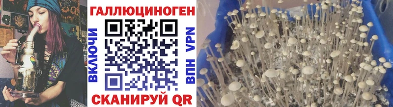 Галлюциногенные грибы Cubensis Купить Углич